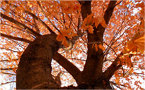 账号充值平台的DDOS攻击教程