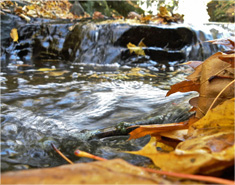 在线DDOS攻击平台